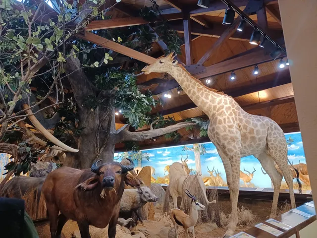 Harber Wildlife Museum, shawnee trail