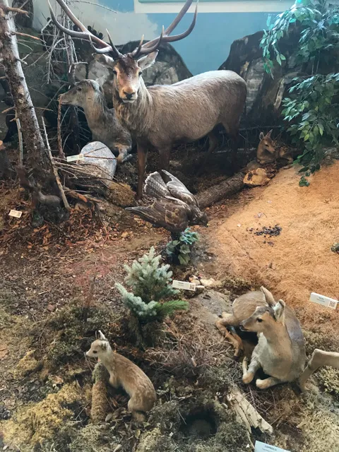 Centro Permanente della Flora e della Fauna Alpina