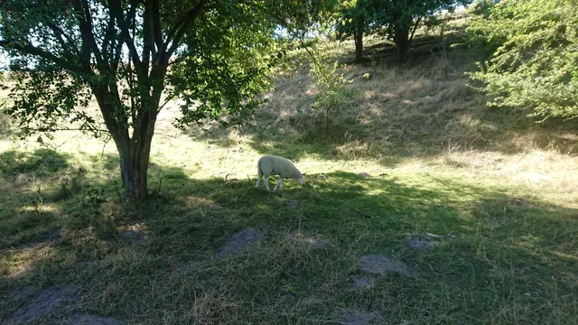 Ringsted Oplevelsessti, start