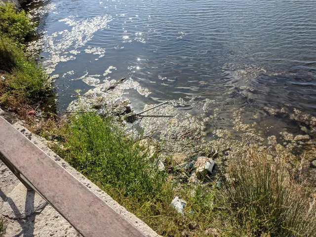 photo-1