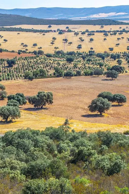 Parque Nacional de Cabañeros