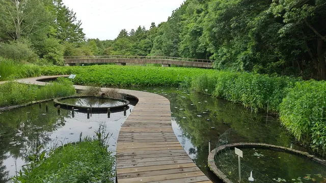 The Tsukuba Botanical Garden