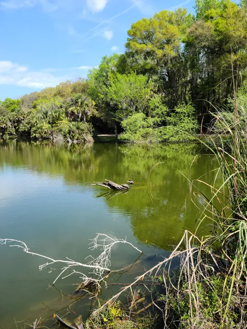 Kathryn Abbey Hanna Park