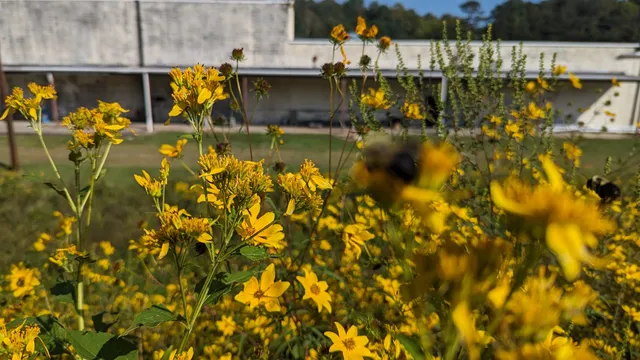 Riverside Park Granite City Greenway