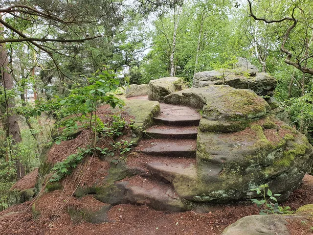 Bodensteiner Klippen