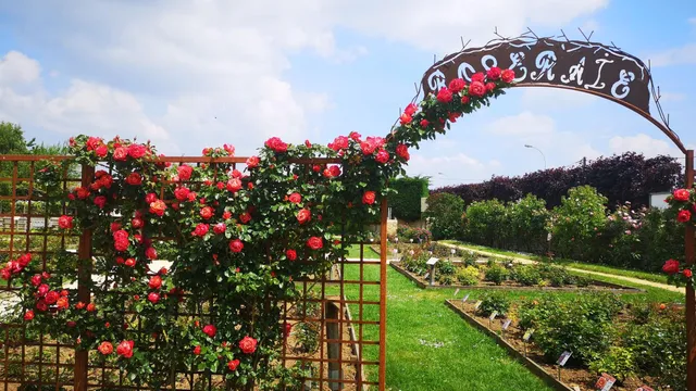 Terre de Rose Distillerie - Roseraie