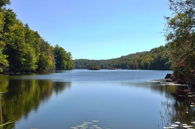 photo-3