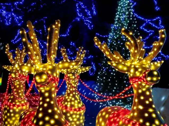 Bright Nights at Forest Park