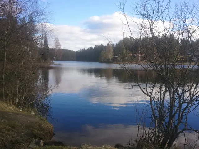 Sværsvann