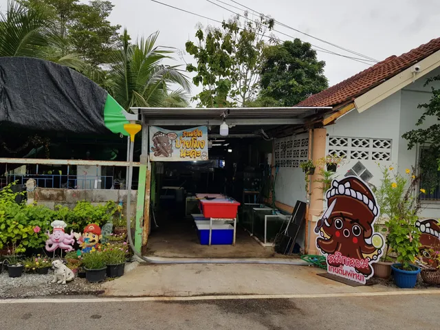 หมึกหอมเกยตื้นพัทยา