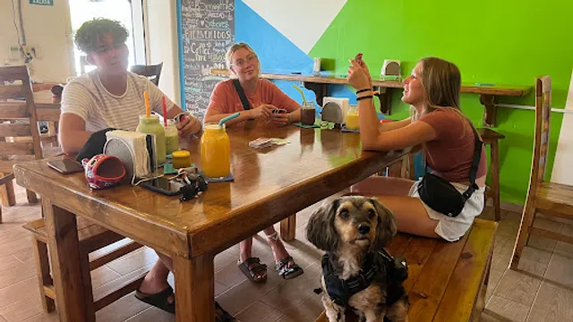 El Sonido de Las Olas Ixtapa