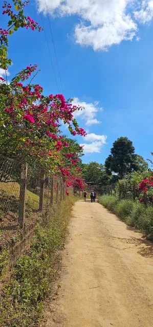 Caminho do Imigrante