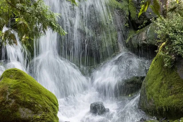 Minnesota Landscape Arboretum