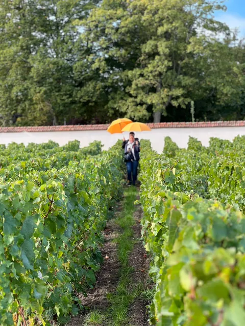 Manoir de Verzy - Veuve Clicquot Ponsardin