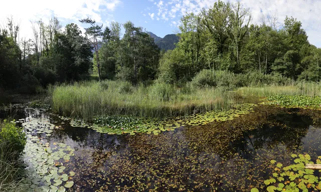 Sägel Naturschutzgebiet
