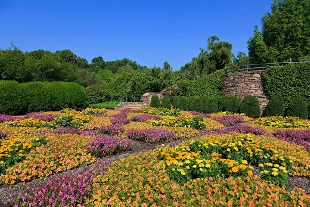 Slayton Arboretum