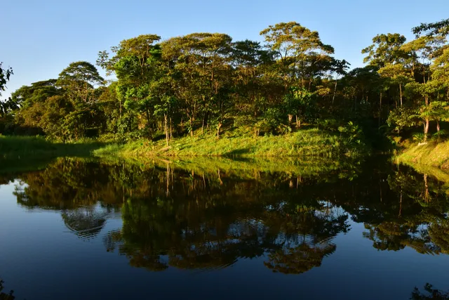 Los Yapas Holistic Center