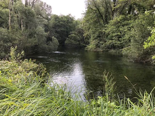 Riserva Naturale Sorgenti della Muzzetta