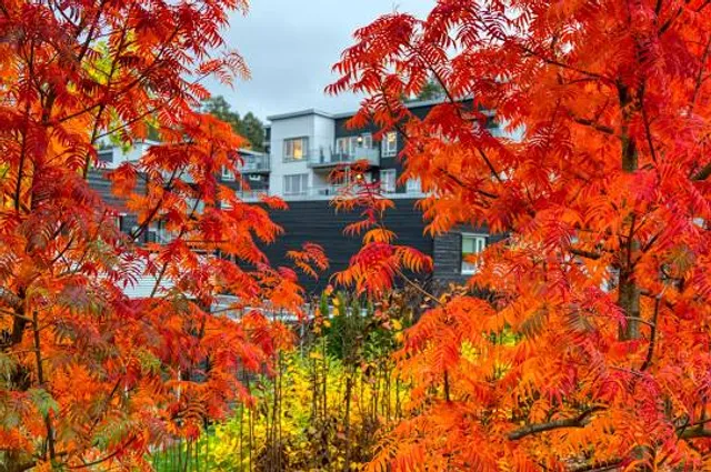 Stanley Quarter Park