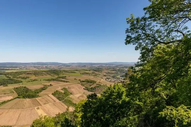 Vitaltour Geheimnisvoller Lemberg - Startpunkt