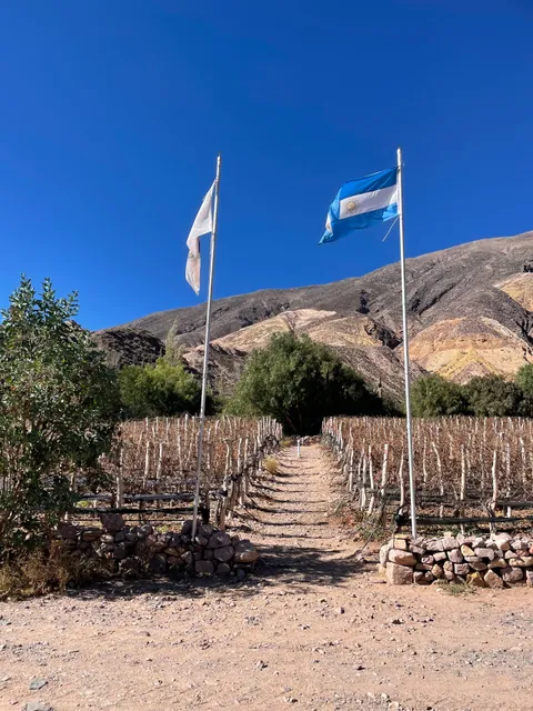 Bodega Fernando Dupont