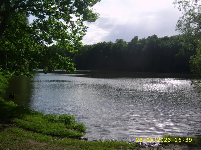 Izmaylovskiy Lesopark