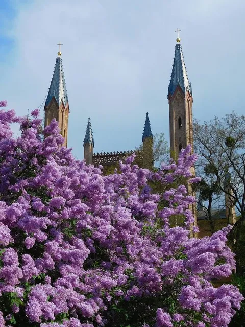 Schlosskirche Neustrelitz