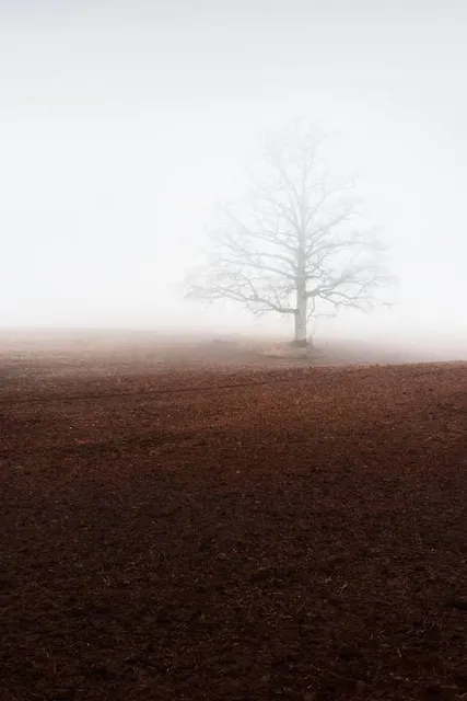 Belvédère des Beaux-Monts