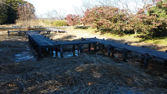 Tochiyamagawa Shizenseitai Kansatsu Park