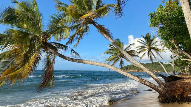 Plage de l’Anse l’Etang