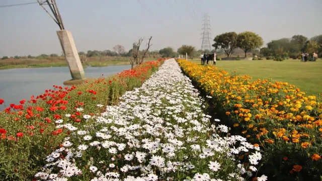 Baansera Park