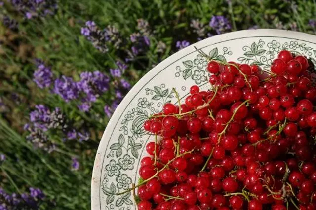 Tenjinmisaki Sports Park