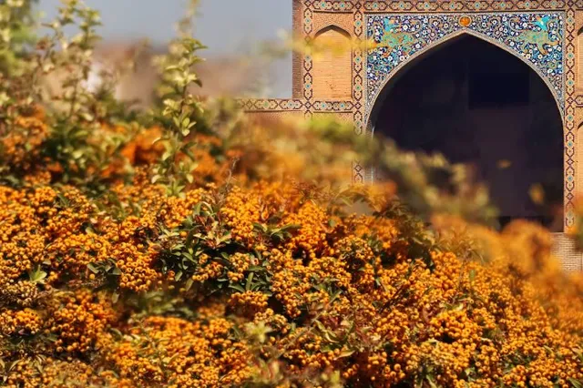 Coin Museum - ZarrabKhane GanjAlikhan