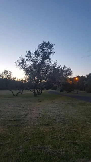 Plage du Parc Bellerive