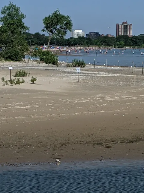 Montrose Beach Dunes Natural Area
