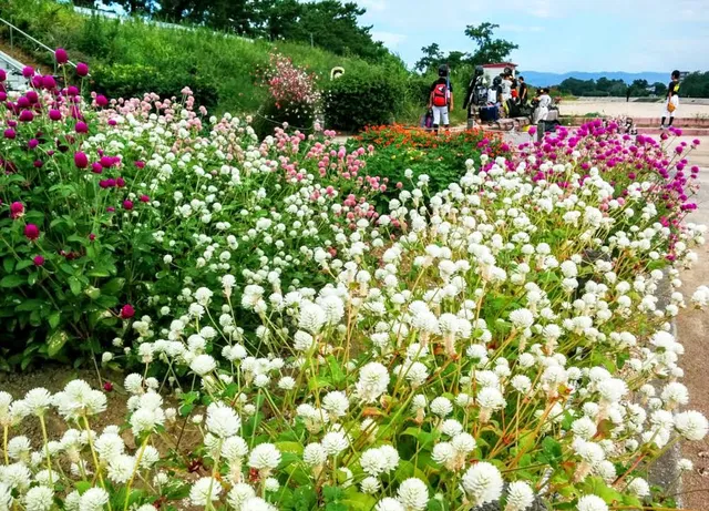 Mukogawa Kasen Ryokuchi Park