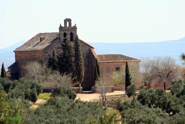photo-2
