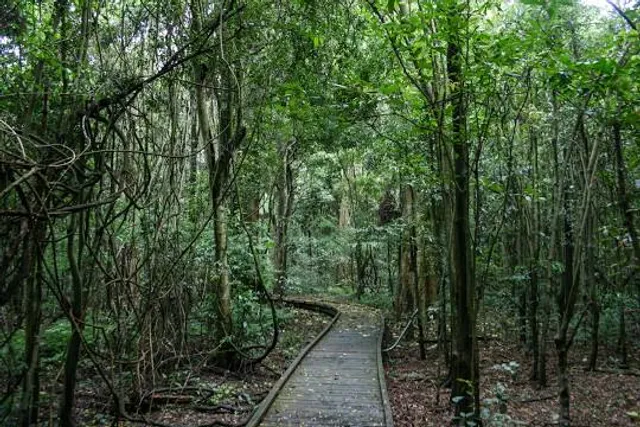 Wingham Brush Nature Reserve