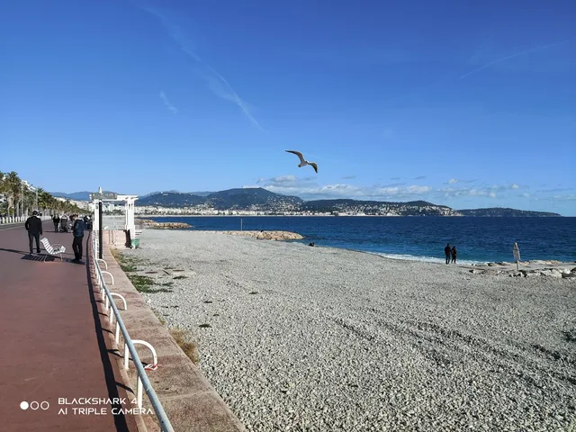 place image