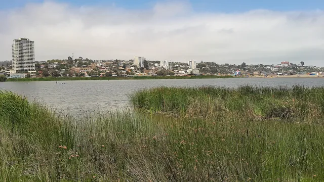 Humedal Parque La Isla, Desembocadura Río Aconcagua