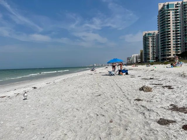 Bay Park on Sand Key