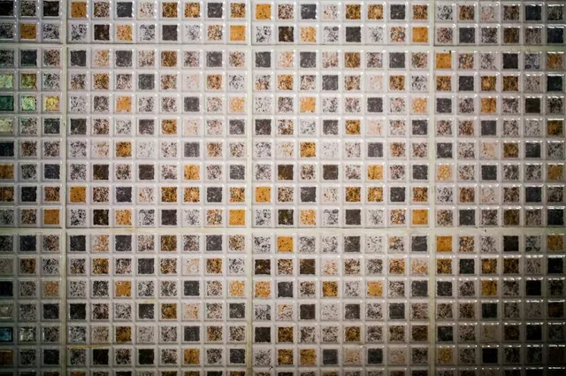 World Seashell Museum