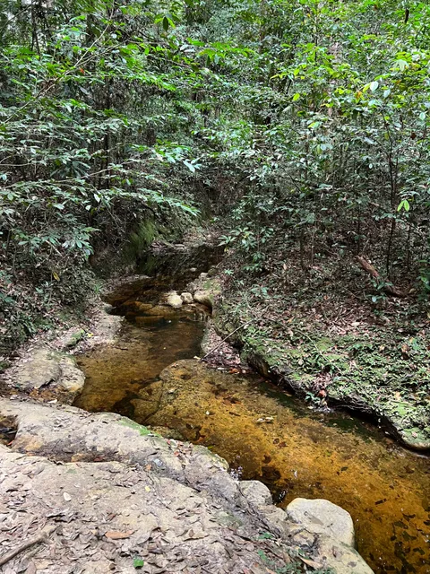 Arboretum Raponda Walker