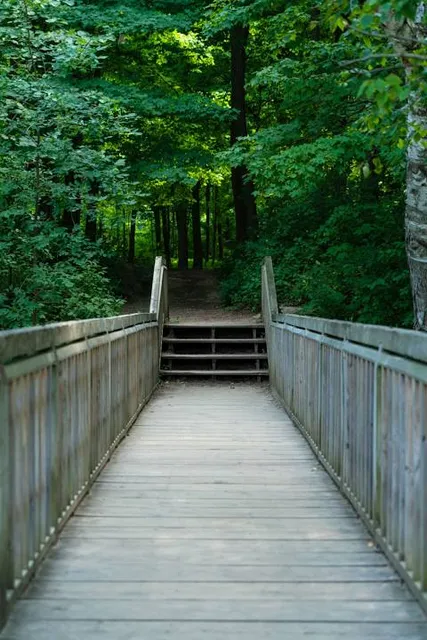Petrifying Springs Park