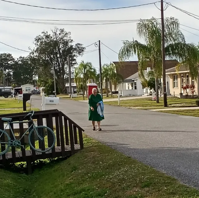 Pinecraft Amish Community