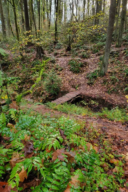 Loll Wildwood Natural Area