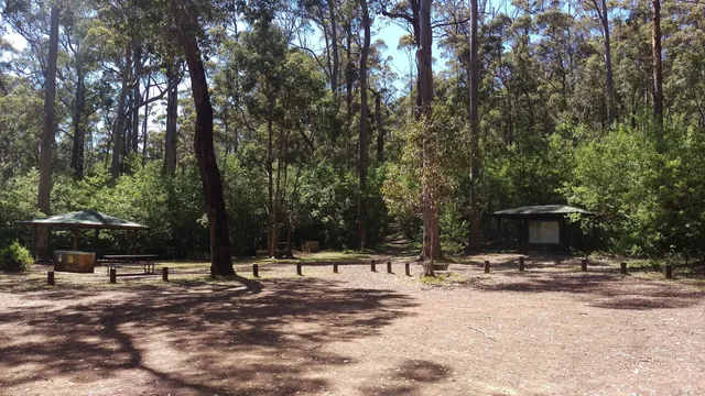 Karri boya-k (Tree in the Rock)