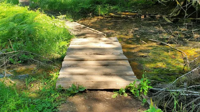 Ohanapecosh Hot Springs