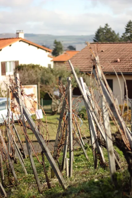 Le Musée de la Vigne & du Vin