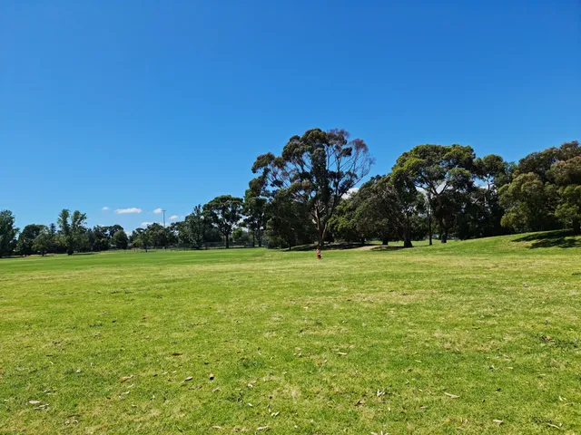 Kingston Heath Reserve